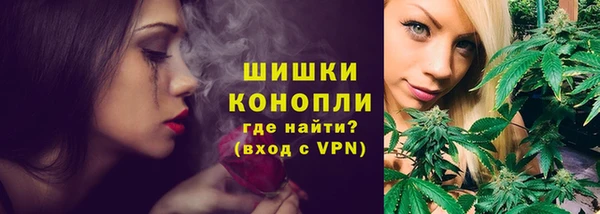 стаф Арсеньев