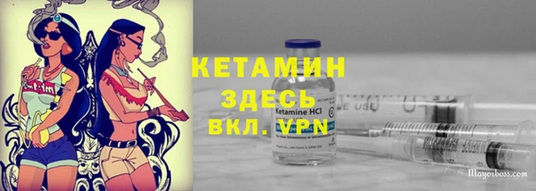 стаф Арсеньев