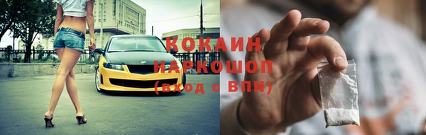 стаф Арсеньев