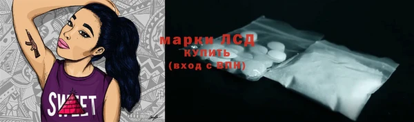 стаф Арсеньев
